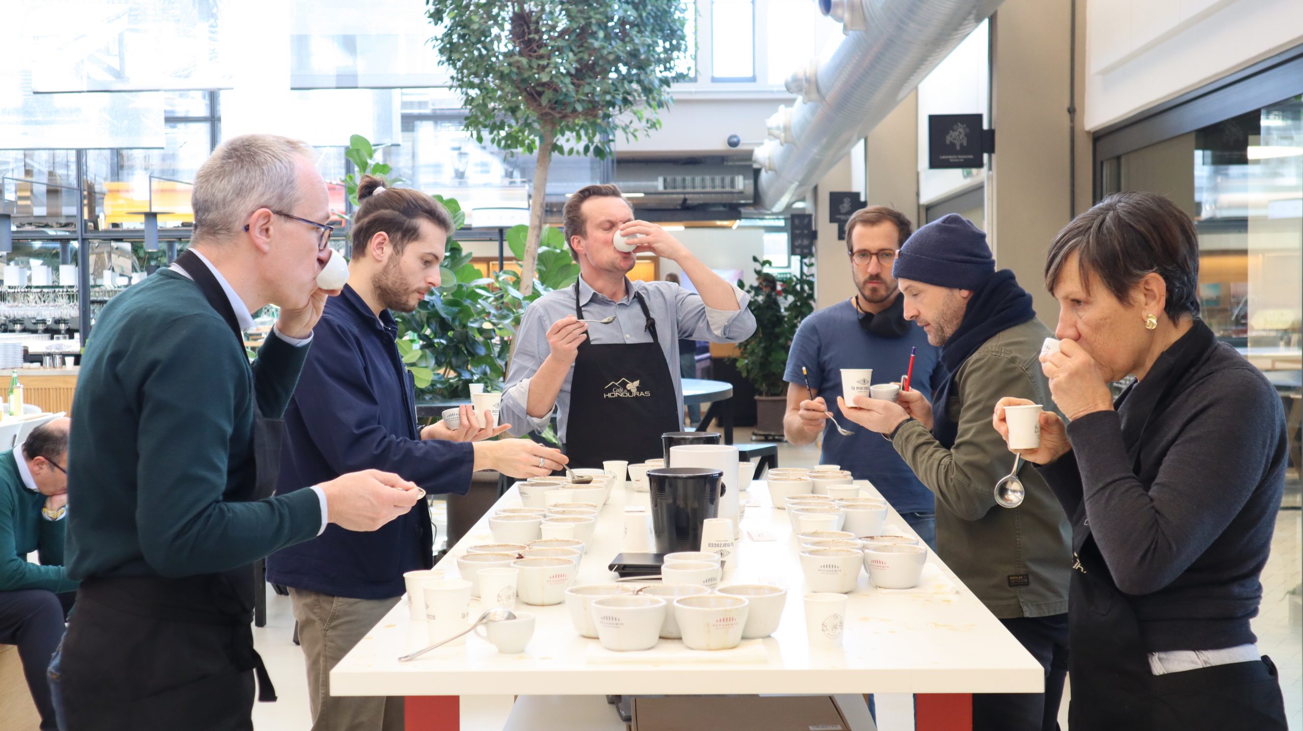 Brewing Stunning Coffee
